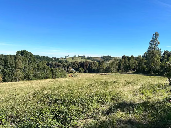 Parcela, Loteo Terranova (95759) - Imagen 8