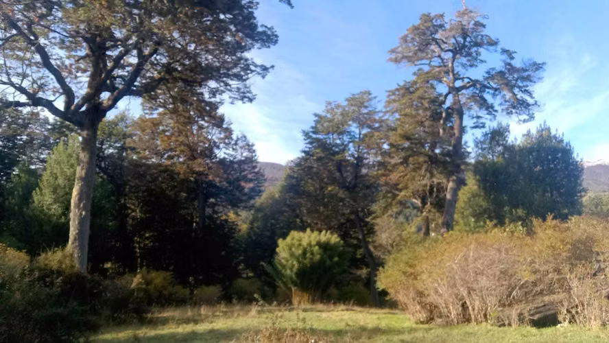 ENTRE MURTA Y PTO. TRANQUILO (96158) - Imagen 11