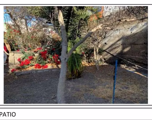 Vende pleno centro calle orella Terreno 387m2 (96295) - Imagen 16