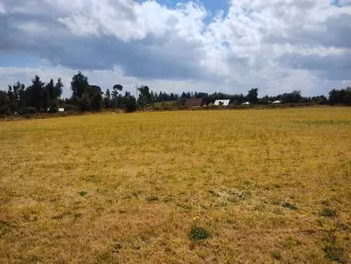 Parcela Plana 5000m2 ¡Vista Lago y Volcán!