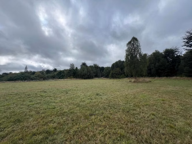 Vendo Campo En Sector Tronlico, Los Ríos - Imagen 8