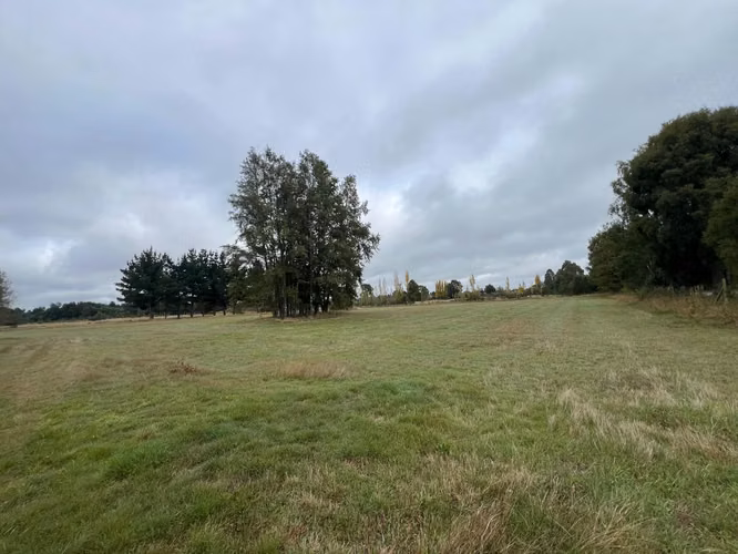 Vendo Campo En Sector Tronlico, Los Ríos - Imagen 15