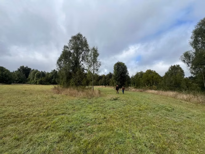 Vendo Campo En Sector Tronlico, Los Ríos - Imagen 12