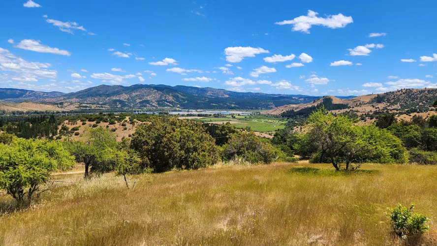 Hermosa Parcela 5.000 metros en comuna de Pancahue.