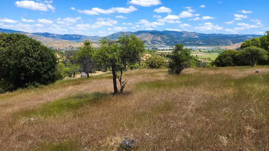 Hermosa Parcela 5.000 metros en comuna de Pancahue.