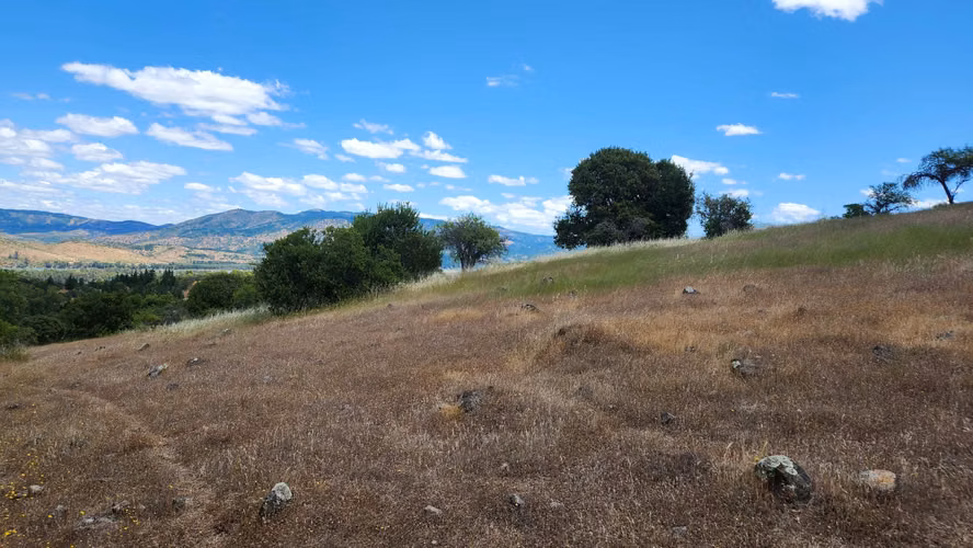Hermosa Parcela 5.000 metros en comuna de Pancahue.