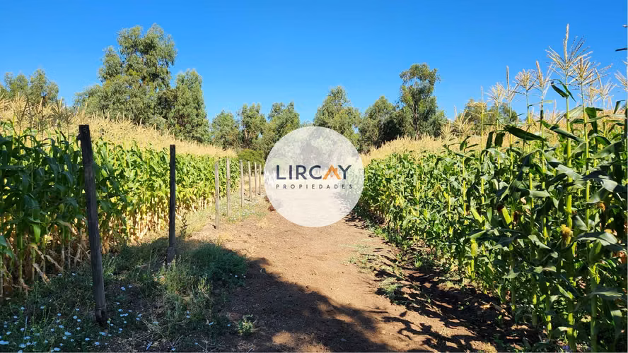 En Venta Terreno de 7 Hectáreas, Talca, Panguilemu. - Imagen 15
