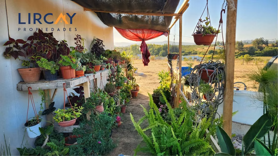 Parcela con casa en Venta, comuna San Rafael.