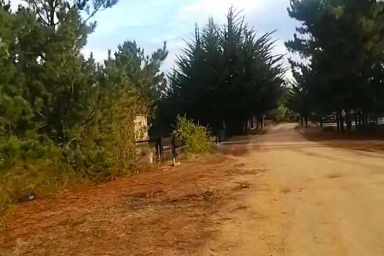 CAHUIL,TERRENO 5.000 M2 HERMOSA VISTA AL MAR (95013)