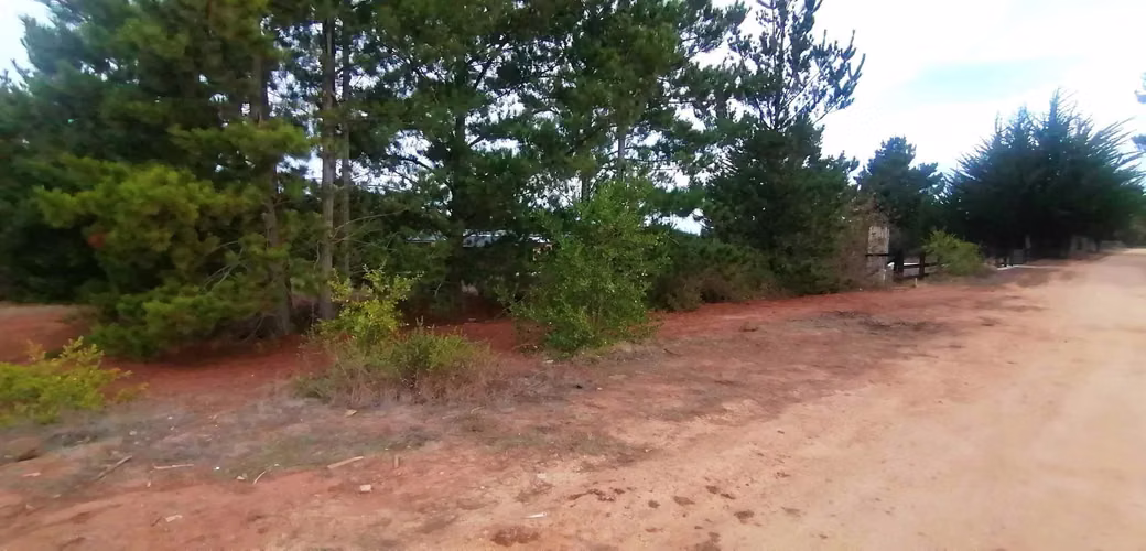 CAHUIL,TERRENO 5.000 M2 HERMOSA VISTA AL MAR (95013)