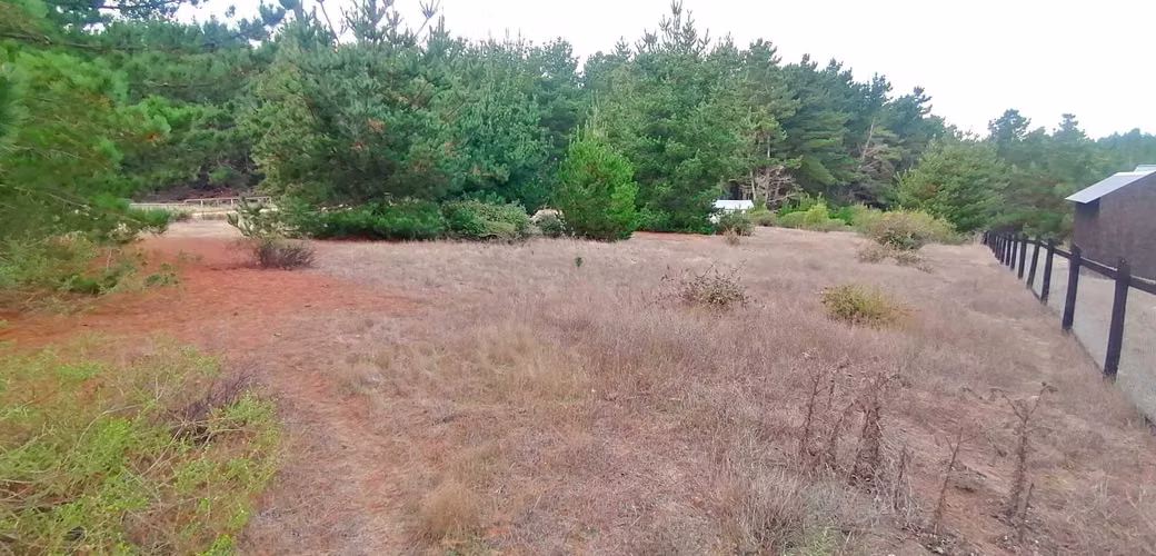 CAHUIL,TERRENO 5.000 M2 HERMOSA VISTA AL MAR (95013)