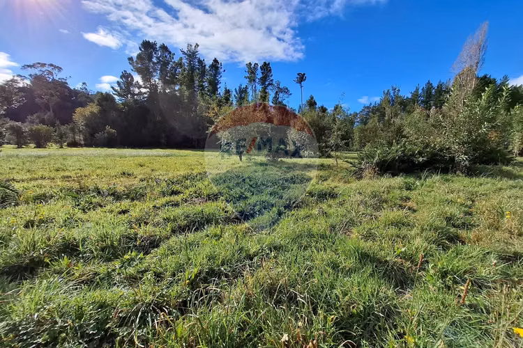 Vende parcela a solo 20 minutos de puerto varas