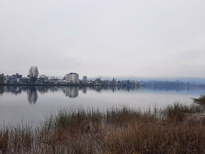 Amplio Terreno en Valdivia, 6036 m², ¡Inversión Id