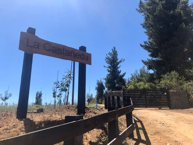 Parcela Agrado Venta Región del Maule