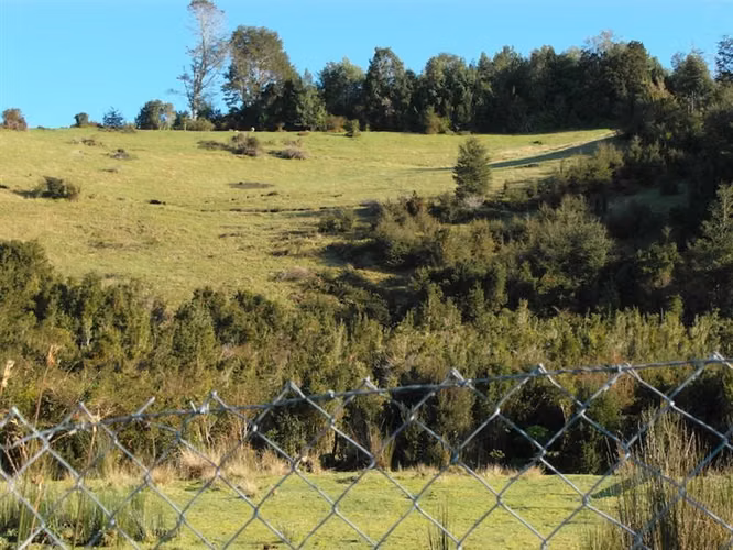 Casa En Venta De 4 Dorm. En Puqueldón, Chiloé