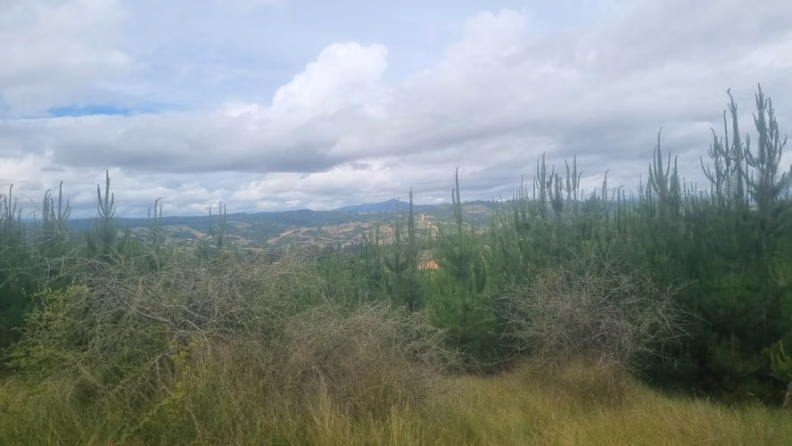 Terreno en parcelación Vive paredones, San Pedro de Alcántara