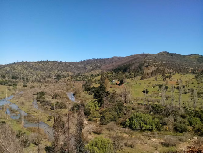 Terreno ubicado entre Cauquenes y Quirihue