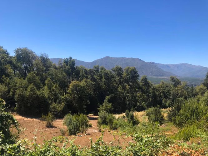 Parcela Agrado Venta Región del Maule