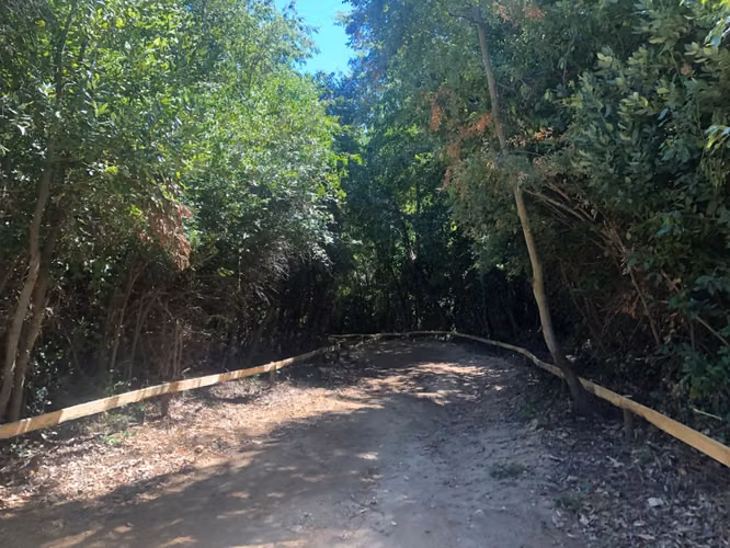 Parcela Agrado Venta Región del Maule