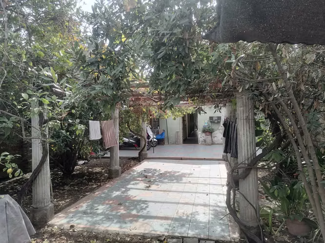 Propiedad comercial (98095)