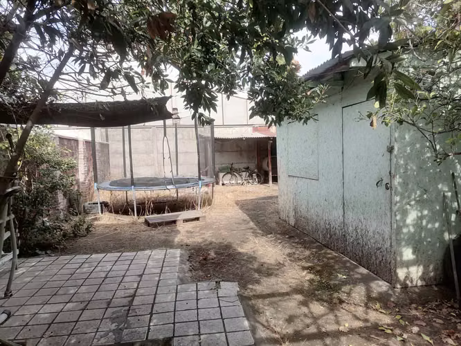 Propiedad comercial (98095)