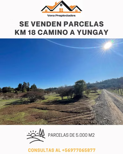 SE VENDEN 2 ULTIMAS PARCELAS CAMINO A YUNGAY KM 18 SECTOR EL ALAMO.