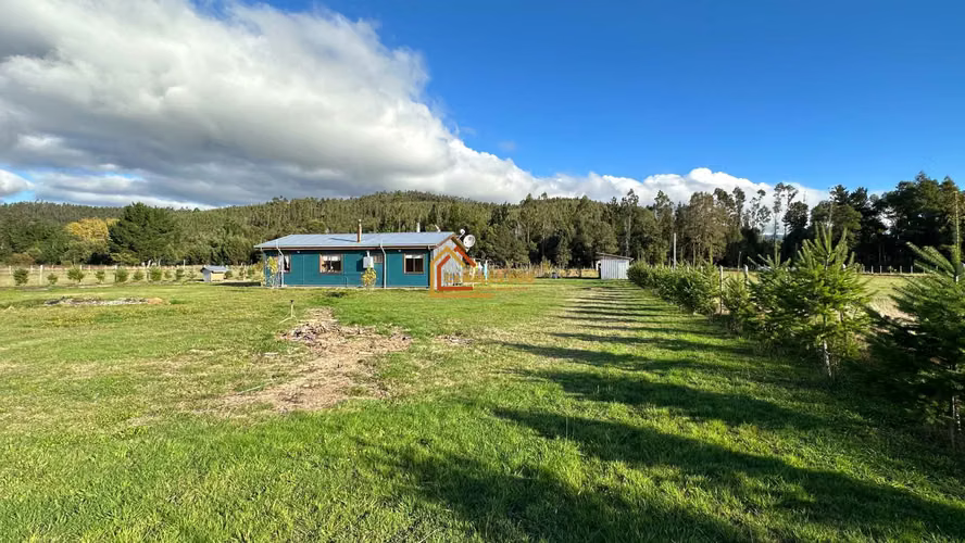 Parcela Faja Maisan, Camino a Quinque, Pitrufquén. Gran Rebaja.