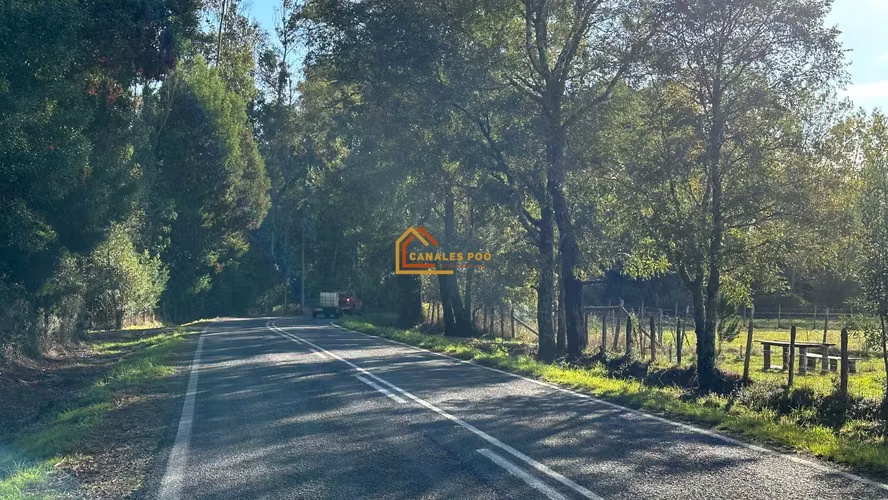 Parcela Faja Maisan, Camino a Quinque, Pitrufquén. Gran Rebaja.