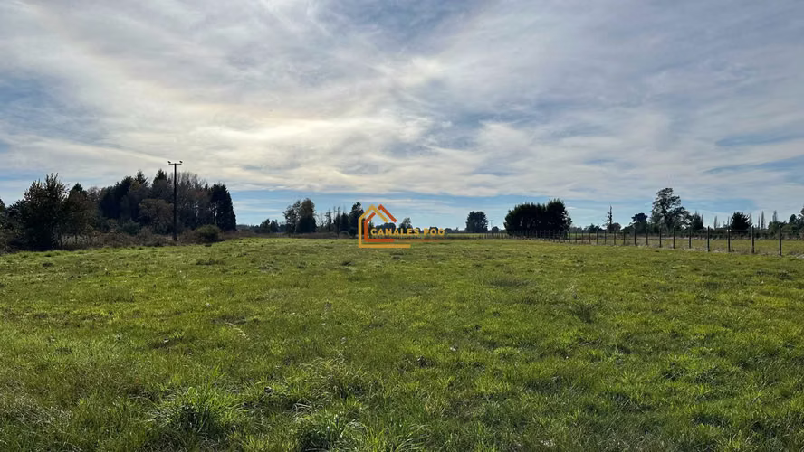 Parcela Sector Faja Maisan, Pitrufquén.   OPORTUNIDAD. REBAJADA