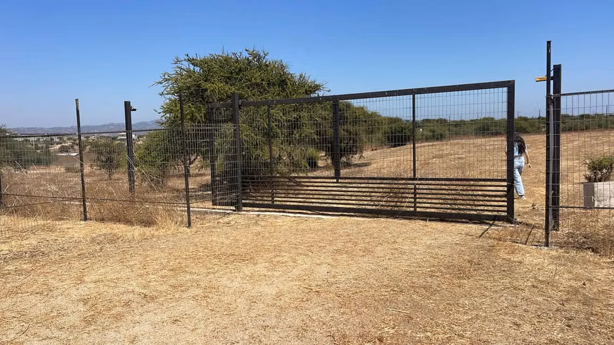 Se vende lindo terreno de 5000 metro excelente sector Limache - Imagen 4