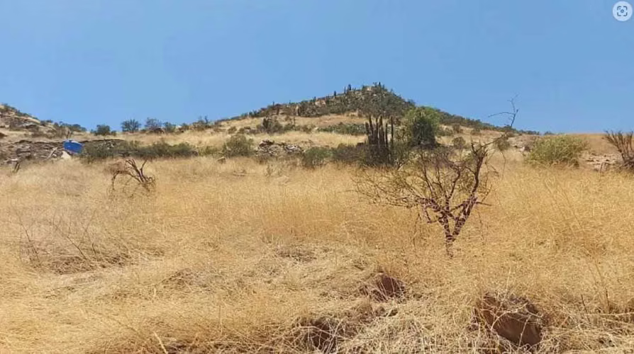 VENDO TERRENO EN FUNDO STA ISABEL, CHICUREO (98852)