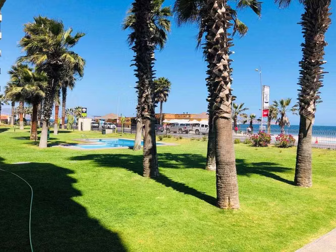 Que mejor que descansar mirando al mar.  (98677)