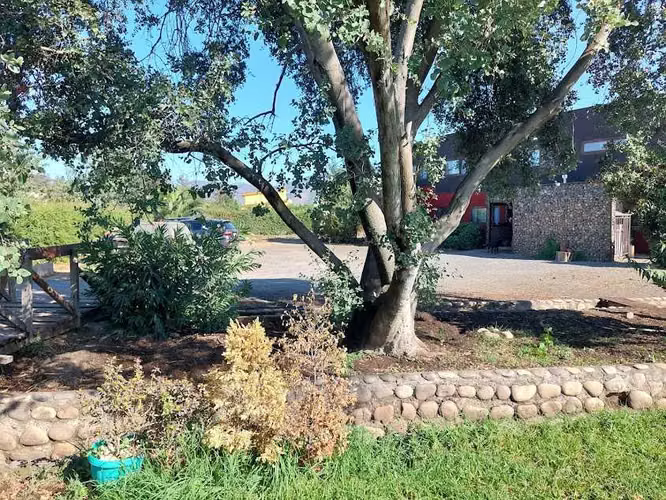 HERMOSA PARCELA EN PEÑAFLOR  (99823)