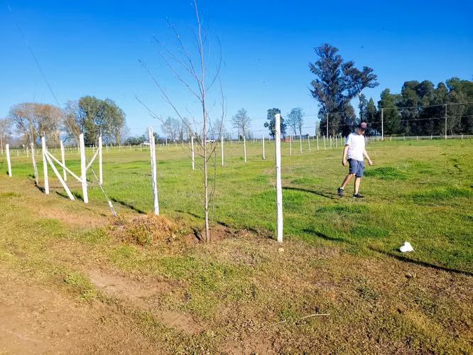 Parcela cam a Coihueco Km17 orilla pavimento (99161)