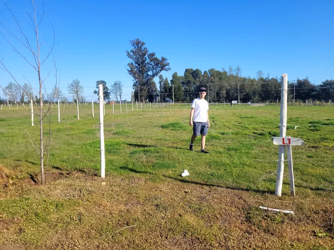Parcela cam a Coihueco Km17 orilla pavimento (99161)