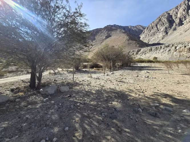 ¡Oportunidad única en el Valle de Elqui!