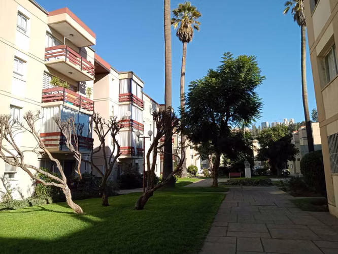 CENTRAL DEPTO. PASOS DE ALVAREZ, AREAS VERDES (99962) - Imagen 2