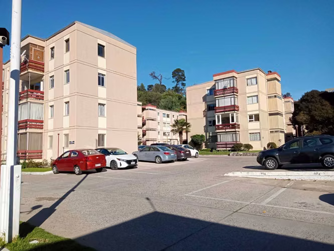 CENTRAL DEPTO. PASOS DE ALVAREZ, AREAS VERDES (99962)