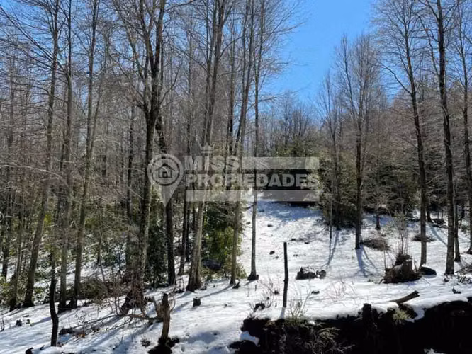 VENDEN TERRENOS - SECTOR LAS LUMAS, CHILLAN