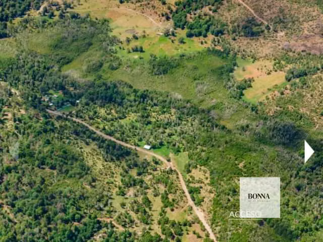 Chile Chico te espera: Vende terreno con vista y potencial