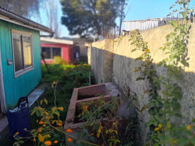 Gran terreno para desarrollo proyecto (100488)