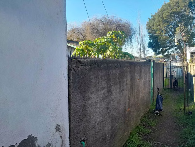 Gran terreno para desarrollo proyecto (100488)