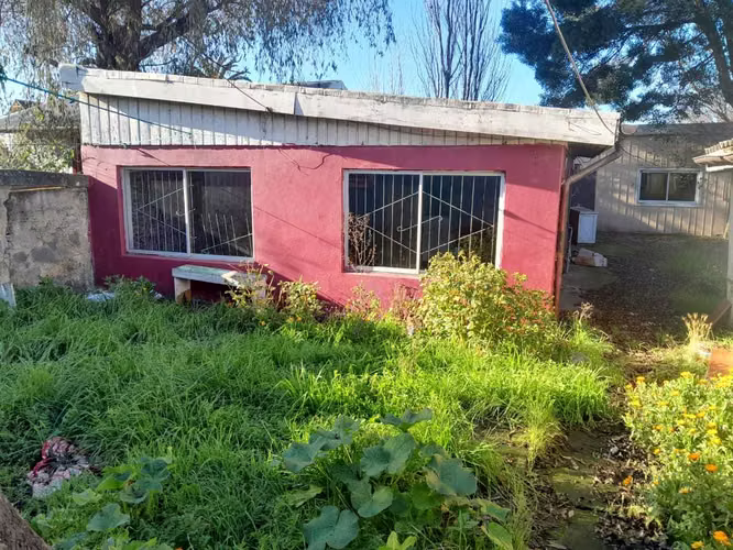 Gran terreno para desarrollo proyecto (100488)