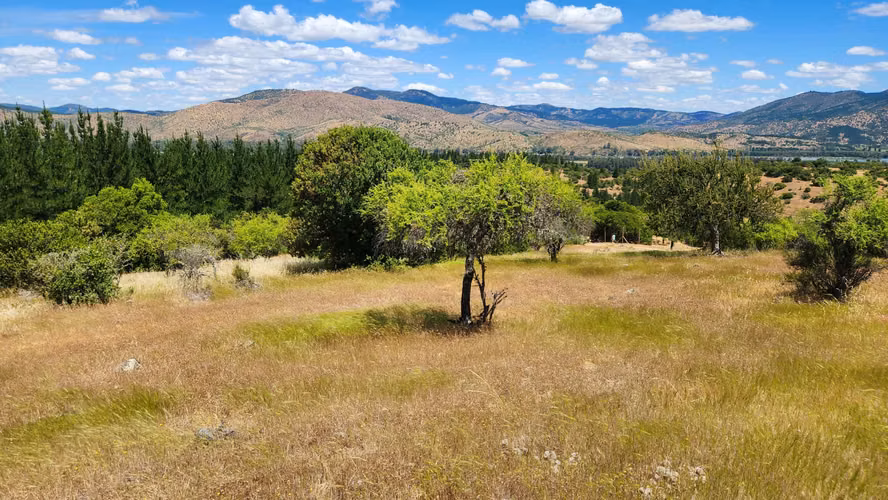 Hermosa Parcela 5.000 metros en comuna de Pancahue.