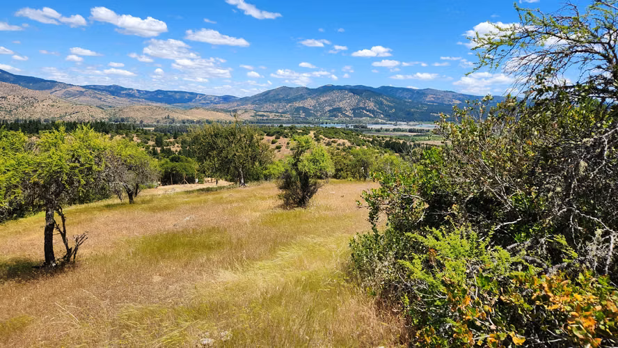 Hermosa Parcela 5.000 metros en comuna de Pancahue.
