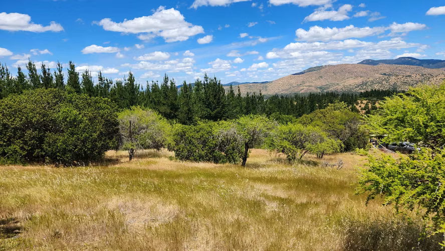 Hermosa Parcela 5.000 metros en comuna de Pancahue.