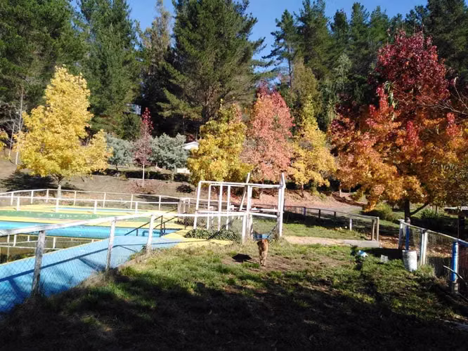 Predio turístico en Hualqui con dos piscinas  (101429) - Imagen 5