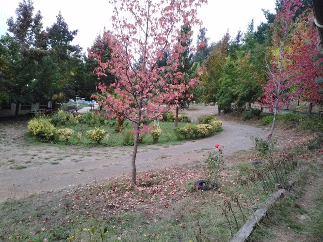 Predio turístico en Hualqui con dos piscinas  (101429) - Imagen 18