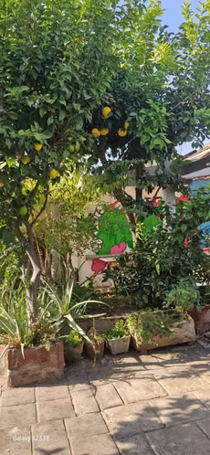 VENDE CASA HERMOSA EN LA REINA  (101438)