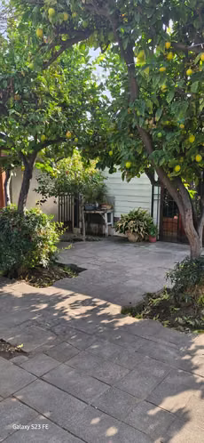 VENDE CASA HERMOSA EN LA REINA  (101438)
